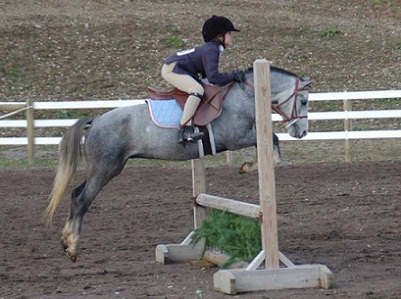 Small Pony Hunter lease for sale- perfect jump